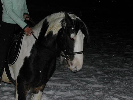 Tinker Gordon billede 3