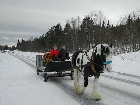 Tinker Gordon billede 4