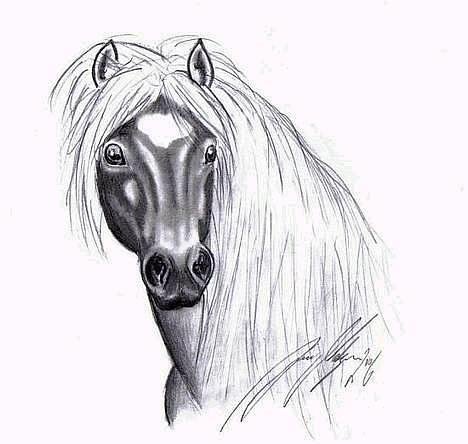 Haflinger MISTRAL (MALAWI) - Tegnet af Line M... Mega godt tegnet:P    billede 11