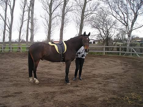 Oldenborg Jumbo - "hvorfor kalder du på min Betina?"    .... "nå, hov vendt lige. jeg skal lige gøre mig klar inden du trykker på den der"...! billede 9