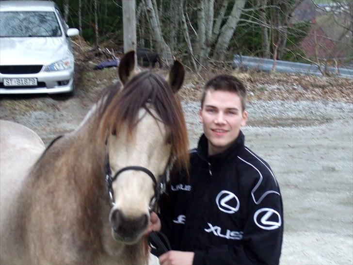 Koldblodstraver Dullmann - Dressur trening med Renate =) billede 9