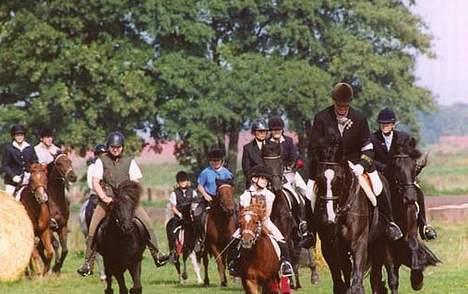 Dartmoor Flowering Lady - Jagt igen... Det er min far på den store sorte med blissen... Hans hest hedder Javoskovie...  billede 4