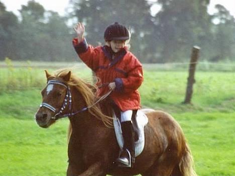 Dartmoor Flowering Lady - Vi har lige vundet jagten for ponyer : ) billede 3