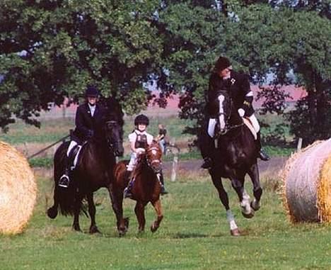 Dartmoor Flowering Lady - Og igen... Far og Javoskovie passer på mig... billede 5