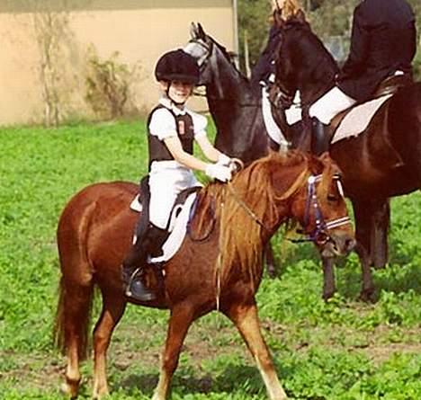 Dartmoor Flowering Lady - Klar til jagt! billede 6