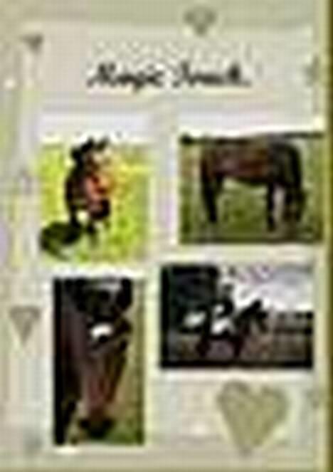 Anden særlig race Magic Touch (Sacha) *Den største stjerne på himlen - Sasha har vist fået øje på noget :) billede 3