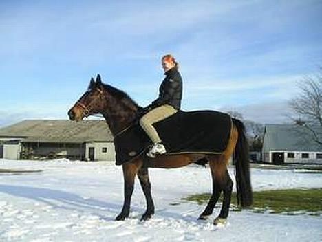 Anden særlig race Magic Touch (Sacha) *Den største stjerne på himlen - Sashas smukke hovede :) billede 5