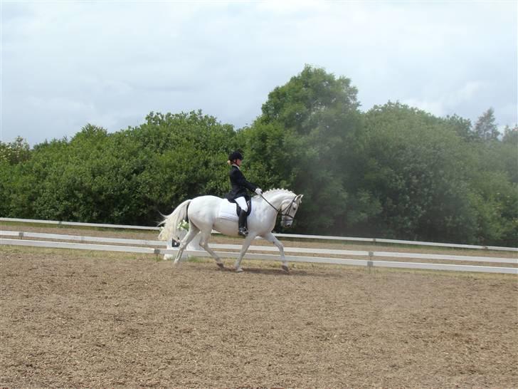 Connemara snubbi - er hun ikke DEJLIG<3<3<3 det var så da der var sne det kan hun godt lide hehe<3 billede 9