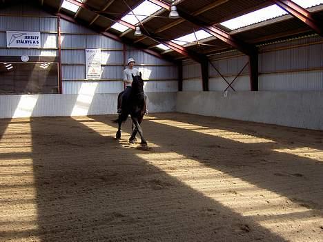 Frieser payter van de langeberg - her trænes schenkelvigning billede 2