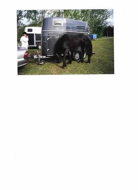 Frieser payter van de langeberg billede 4