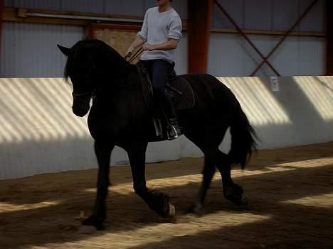 Frieser payter van de langeberg billede 5