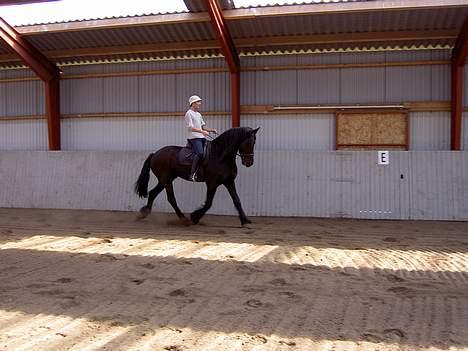 Frieser payter van de langeberg billede 7
