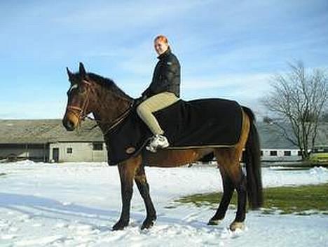 Anden særlig race Magic Touch (Sacha) *Den største stjerne på himlen - nyt billede af mig ag sacha i sneen billede 8