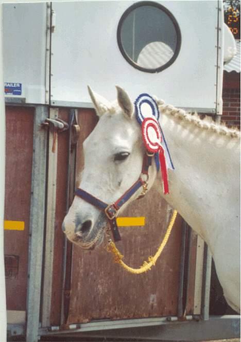 Anden særlig race Yousette (R.I.P.) - Her har hun lige vundet et par rosette.. billede 8