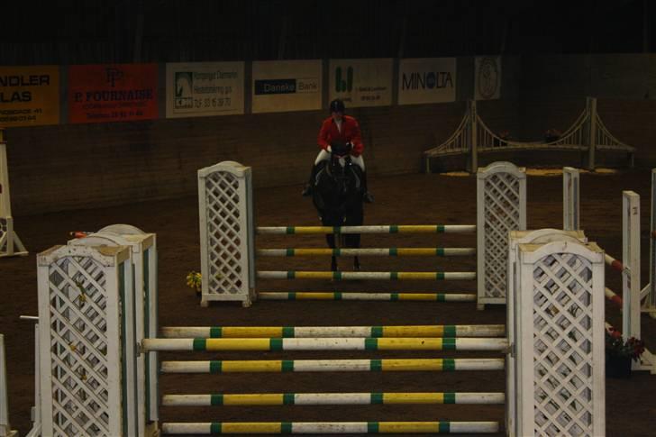 Dansk Varmblod June - C-stævne i Fredericia LB januar 2010 billede 7