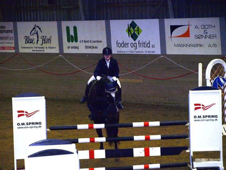 Dansk Varmblod June - C-stævne i Fredericia første LB billede 10