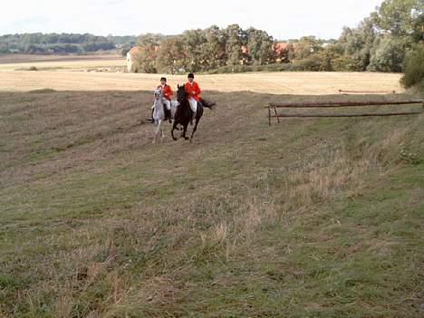 Traver Girl Of Beauty"Afdød" - Her er vi så til sidste jagt i år. billede 10