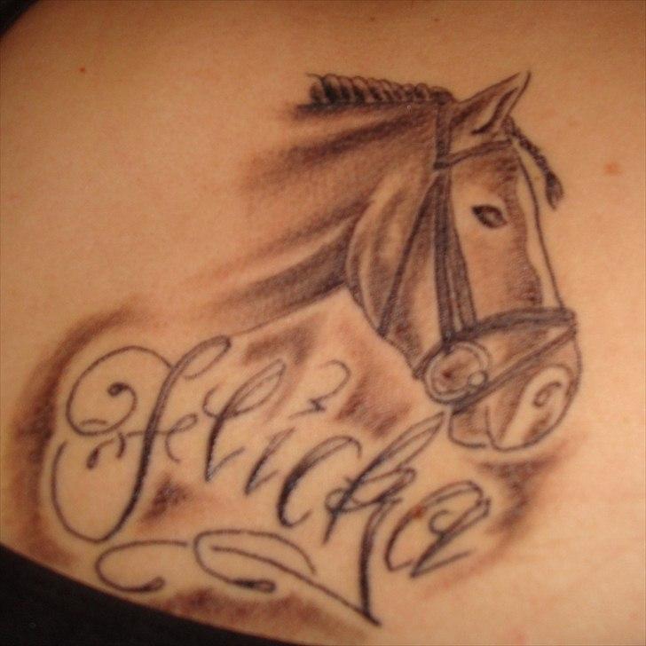 Anden særlig race Flicka - Det er det tætteste jeg kan komme på at have Flicka hos mig resten af min tid, fik den lavet efter jeg mistede min dyrebare diamant. billede 1