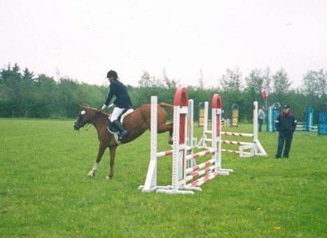 Anden særlig race Flicka - Flicka og mig der springer LD. billede 5