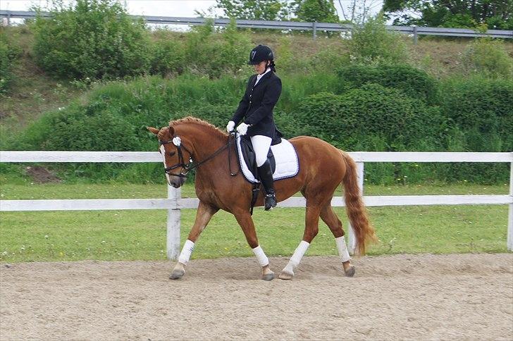 Anden særlig race Ning - Min fansastiske Ning billede 8