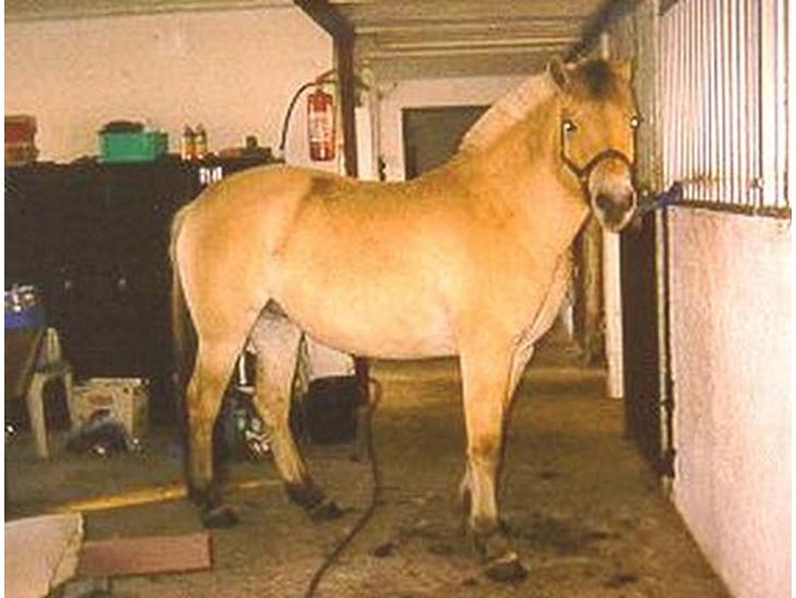 {{currentPhoto.altText}} billede {{currentPhoto.number}}