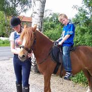 Anden særlig race Nikita (SOLGT)