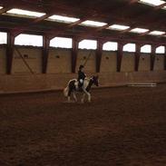 Pinto La-Chris Vesterlund