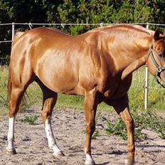 Quarter Optimum Conclusion