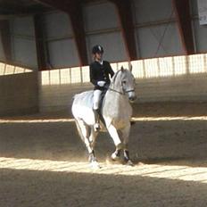 Anden særlig race Super Star / VSR / part