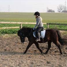 Anden særlig race Tarzan