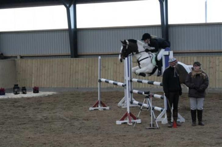 Pinto Miss coco Chanell - Til hold´mesterskaberne 2007 billede 18