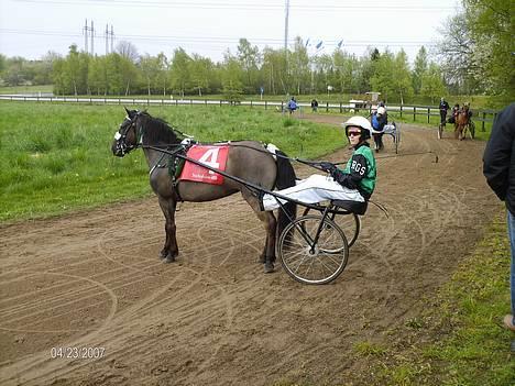 Gotlandsruss Tejas Zorinna-Pi - Her er hun så på folden ! billede 5