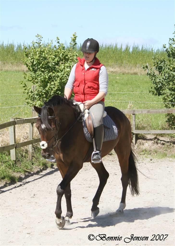 Traver Kubius - R.I.P - Miig og Kubi - Fotograf: Bonnie jensen billede 2