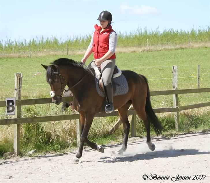 Traver Kubius - R.I.P - Miig og Kubi - Fotograf: Bonnie jensen billede 7