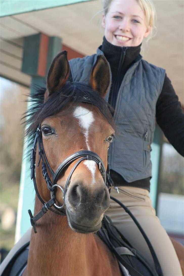 Anden særlig race Panick billede 13