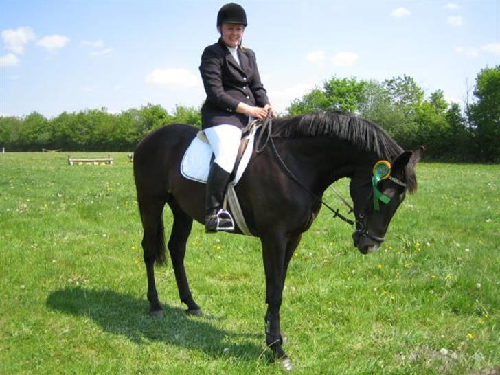 Trakehner Lazio - Lazio i kragelund 12 maj 08 billede 7