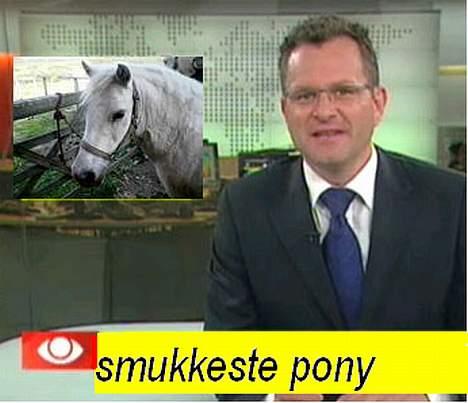 Anden særlig race Silver (Gammel Part)R.I.P - mig i tv billede 11