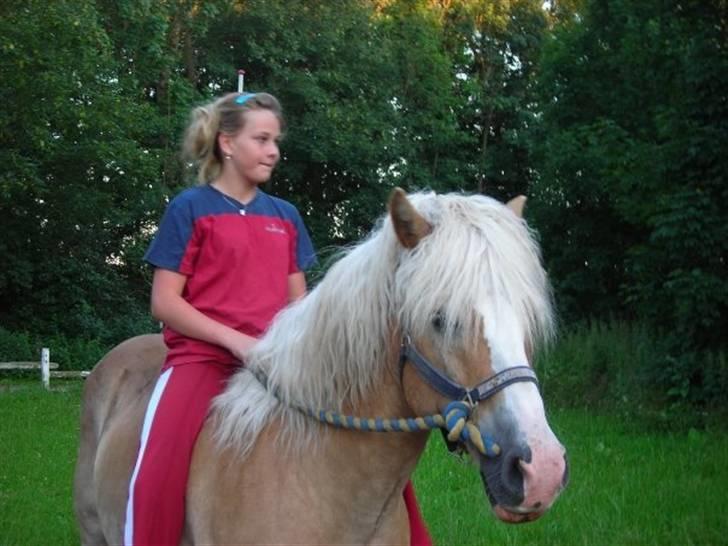 Haflinger Anker Kyhnæb - Rikke og Anker. billede 2