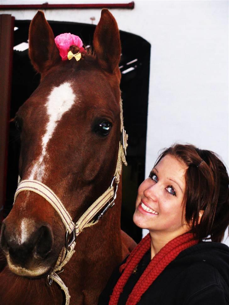 DSP Firhøjs Nobi - min engel - stoler du på mig, stoler jeg på dig ..  billede 9