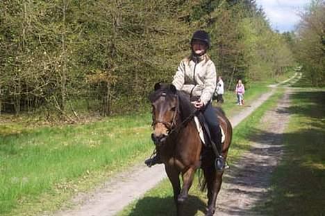 Anden særlig race fighter*** DØD.. 19.4.11 billede 4