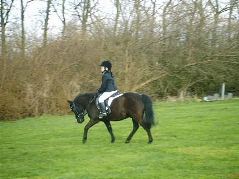 Anden særlig race Tarzan billede 3