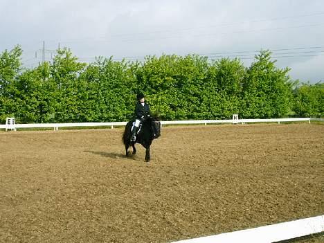 Anden særlig race Tarzan billede 5