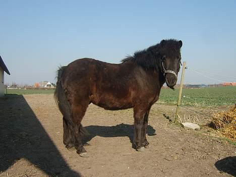 Anden særlig race Tarzan billede 6