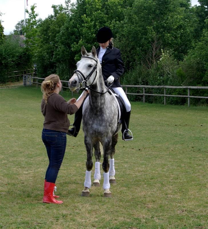 DSP Geiser Sarai - Hvor er hun sød :D billede 12