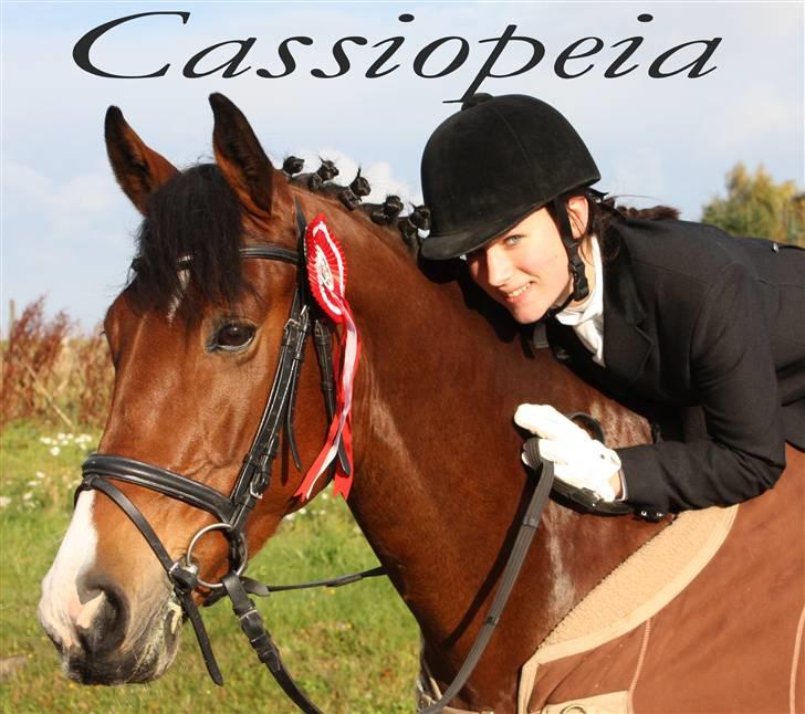 Anden særlig race Cassiopeia - - Cassiopeia -  billede 1