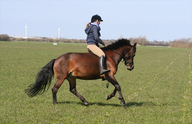 Anden særlig race Nuggi - #14 April 2010 billede 14