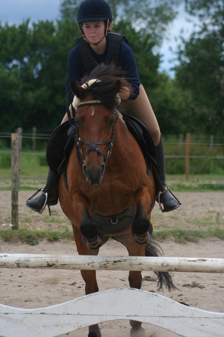 Anden særlig race Nuggi - #15 Juni 2010 billede 15