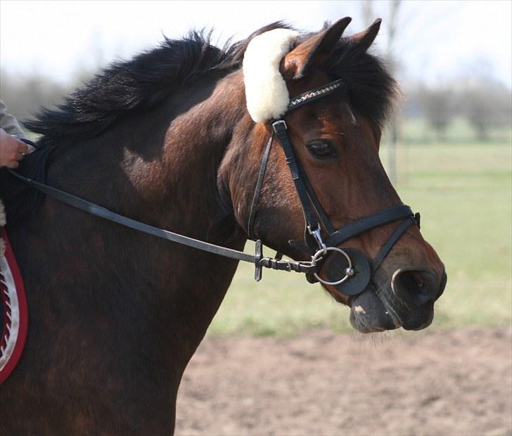 Anden særlig race Nuggi - #16 April 2010 billede 16