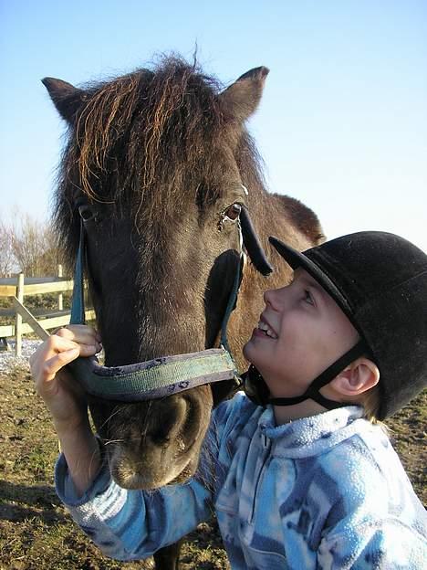 Shetlænder Sorte <3 *VIDIO* - Mig og Sorte ! Læg mærke til hendes læbe ! haha <3 Tak for besøget. billede 20