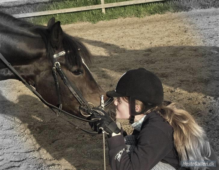 New Forest Troldmosens Bijou, B-PONY - Ihh hvor jeg dog elsker dig min skatt ! <3 - ved ikke hvad jeg skulle gøre uden dig i mit liv ! {L´ billede 10